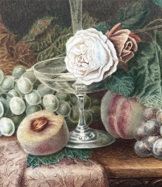 Beautiful Still Life Flowers & Fruit - Large Watercolour Painting - 19th Century 3