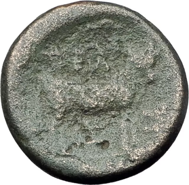 PELLA in MACEDONIA 148BC RARE R1 Authentic Ancient Greek Coin ZEUS & BULL i61465 2