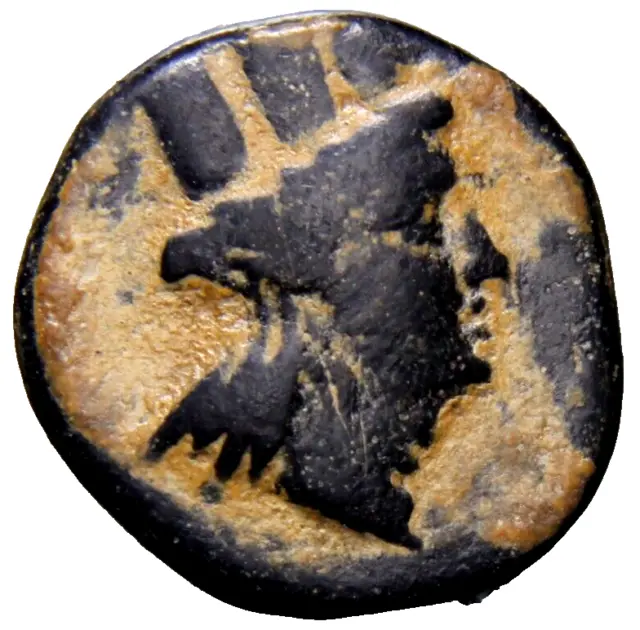 Phoenicia. Tyre. Civic issue circa AD 100. Bronze Greek Coin Palm Tree w/COA
