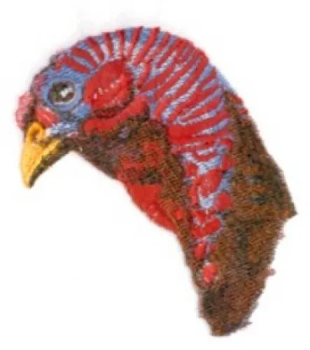 Embroidered Long-Sleeved T-Shirt - Wild Turkey BT4647