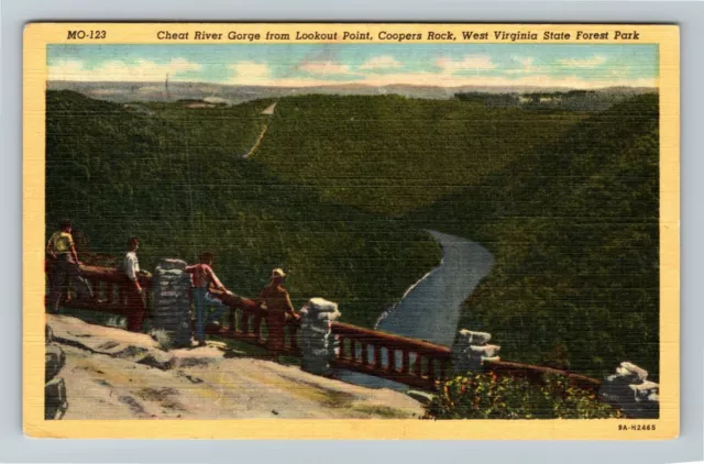 WV- West Virginia, Aerial View Cheat River Gorge, Scenic, Vintage Postcard