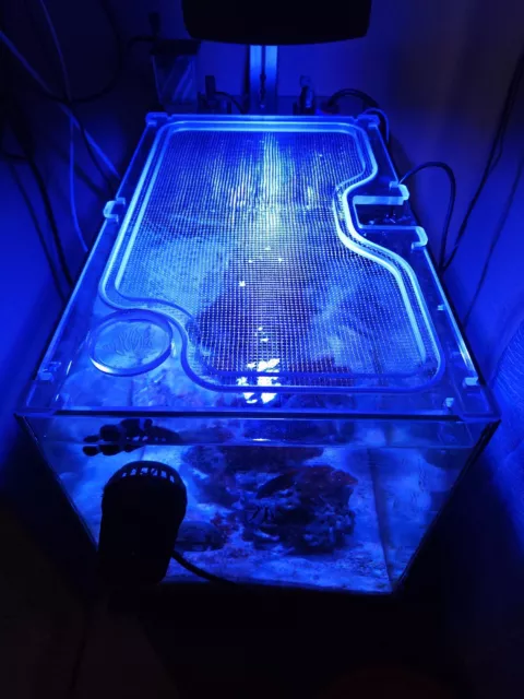 Fluval Evo 13.5 Acrylic Screen Cover w/ Light Mount - AquaLifeStudio