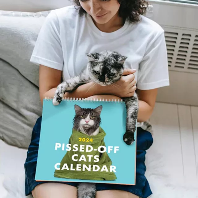 2024 PISSEDOFF CATS Calendar / Funny Cat Wall Calendar / FAST SHIPPING