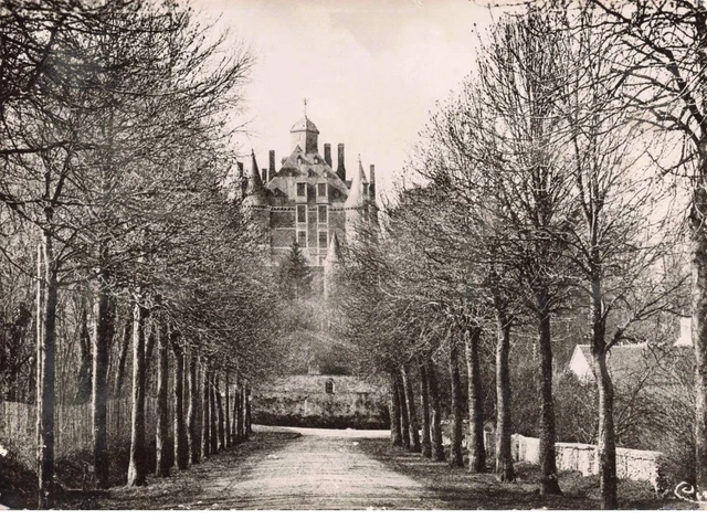 51 - MONTMORT - S01098 - Le Château - Allée de la gare - CPSM 15x10 cm - L1