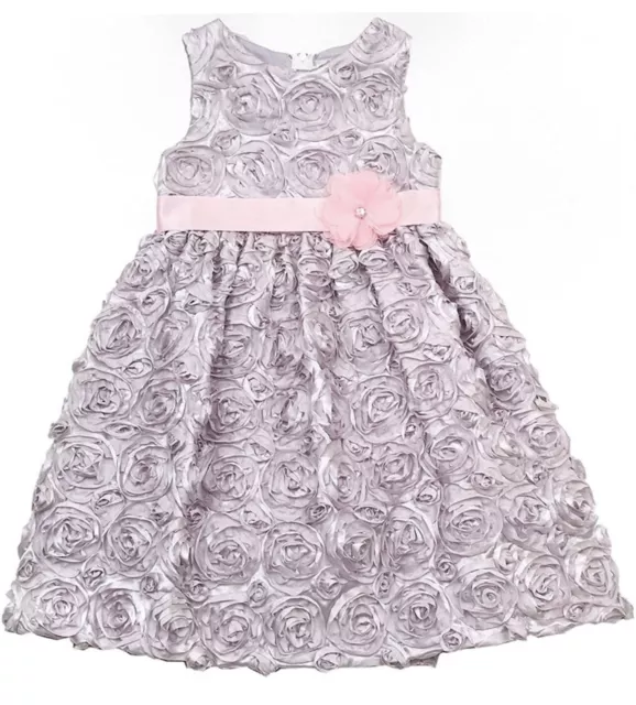 Rare Editions Toddler Girl Special occasion dress 24 Months NWOT beautiful dress