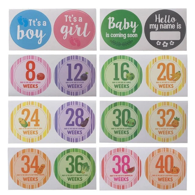16 Pcs Pregnant Stickers Pregnancy Stickers Photography Weekly Belly