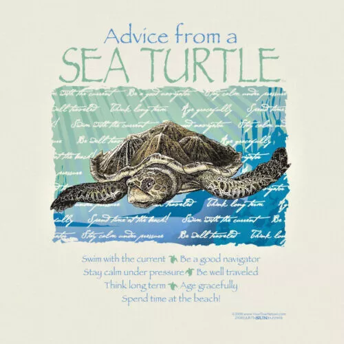 Advice From A Sea Turtle T-shirt Cotton