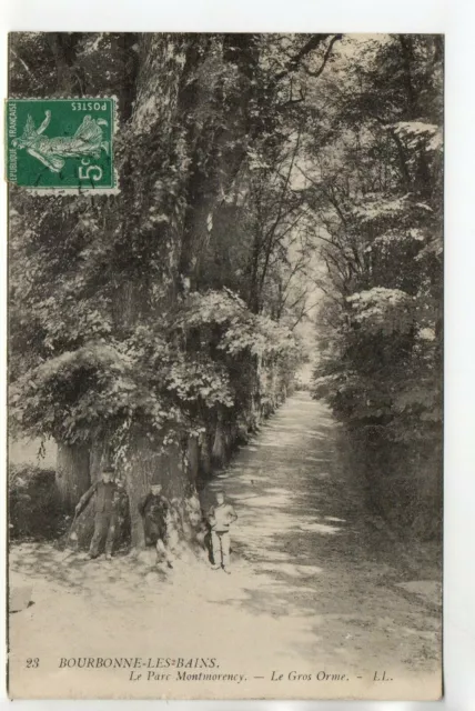 BOURBONNE LES BAINS - Haute Marne - CPA 52 - Parc de Montmorency - le gros Orme