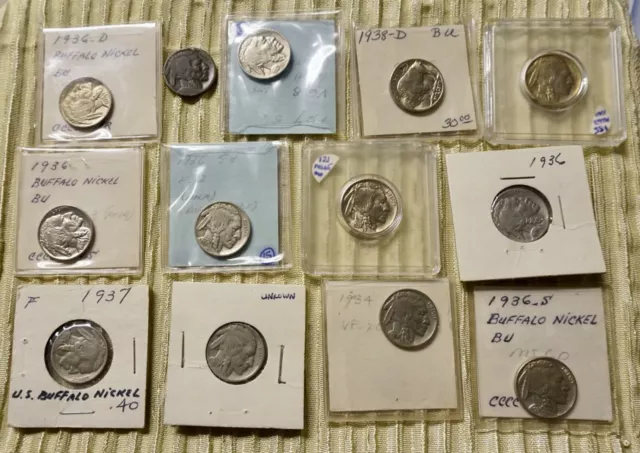 13 Buffalo Nickels Some Uncirculated        #28