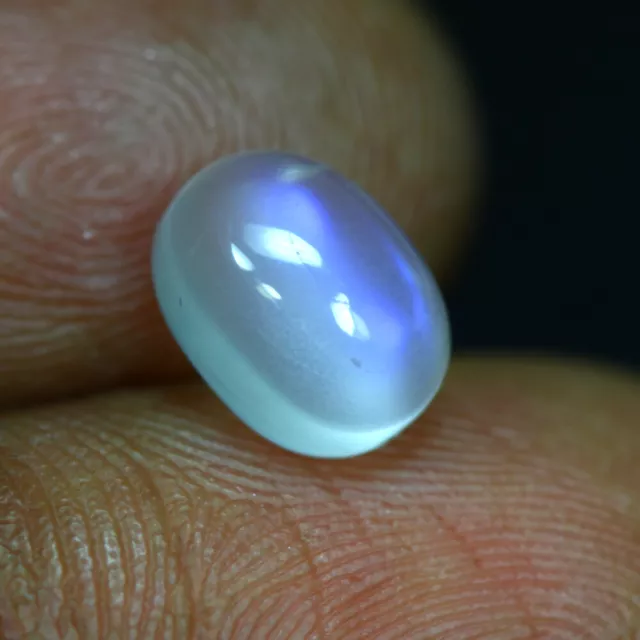 1.68 Cts_Great Electric Blue Shadow_100 % Natural Unheated Blue Moonstone_India