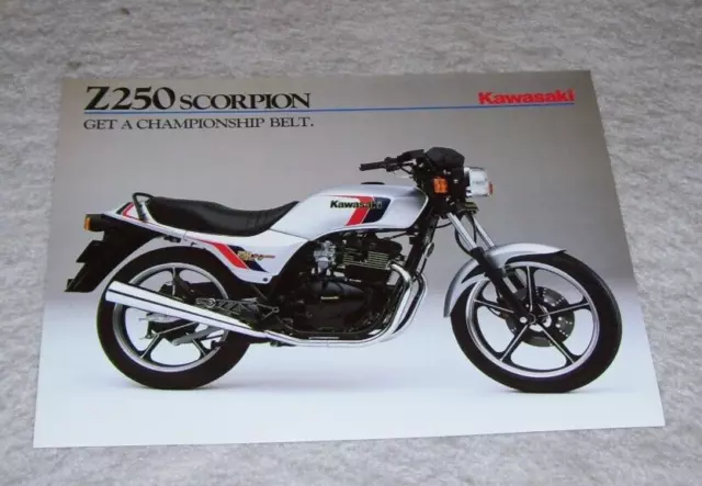 Kawasaki z250 scorpion new arrivals