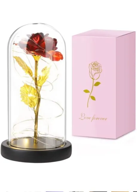 Beauty And The Beast Type Rose In Glass Dome.