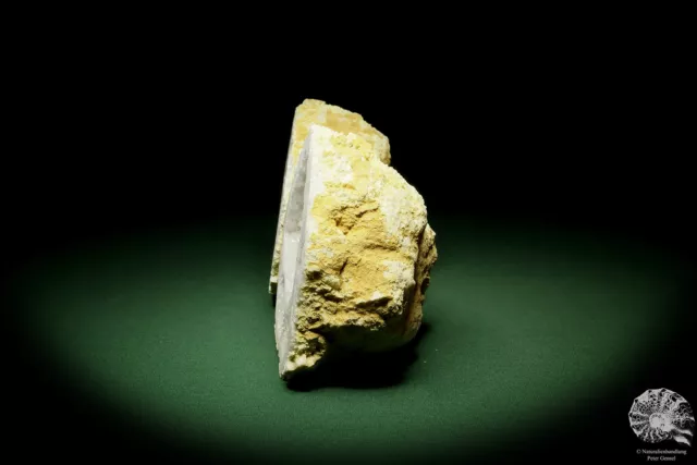 Quarzdruse Marokko Druse Mineral Sammlung Stufe Kristall Deko deco 3