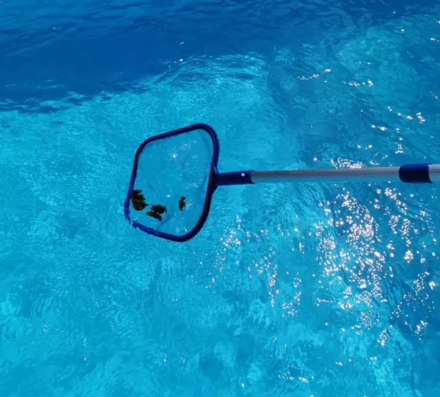 Kescher mit Teleskopstange CARIBIC Laubkescher Set Käscher Pool Schwimmbad Laub