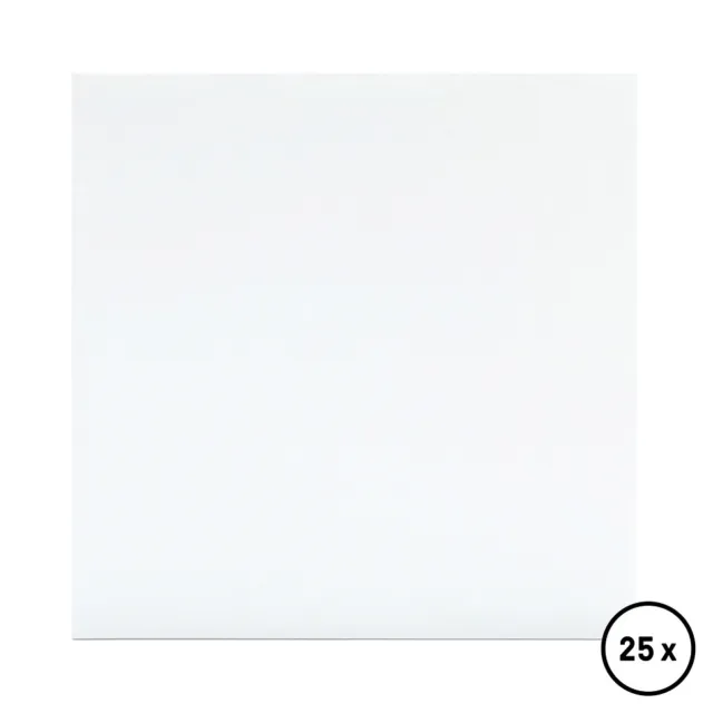 Record Sleeve - 12" Vinyl LP Cover (Weiß) White