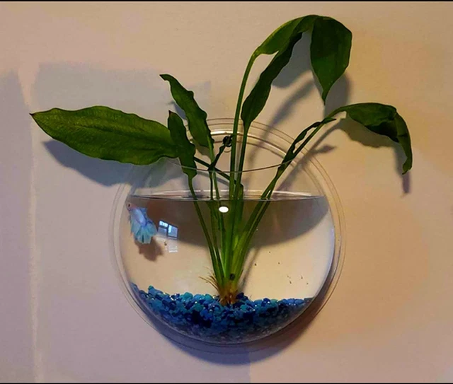 2Pack Wall Hanging Fish Tank,Mounted Fish Bowl Betta Tank Fish Plant Tanks Hangi 6