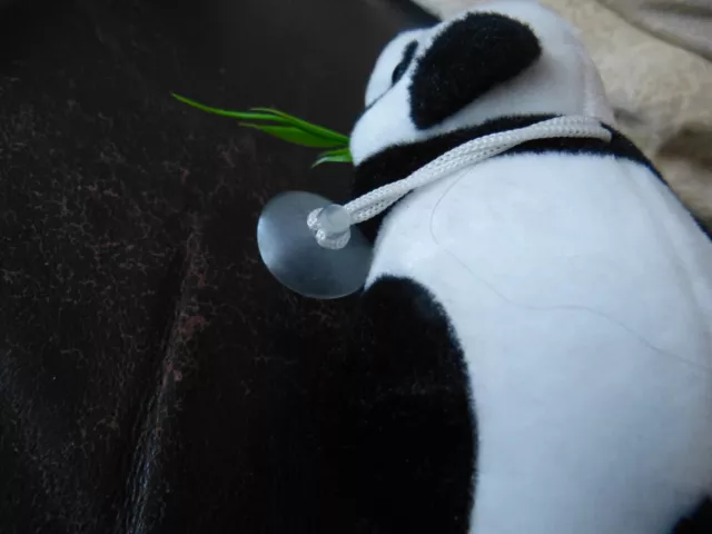 small panda eating bamboo 3