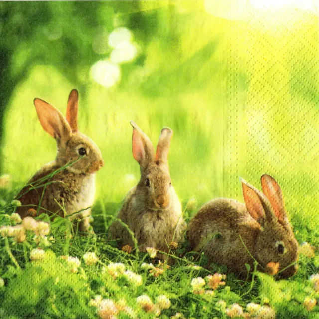 Serviettes En Papier Lapins Dans Le Champ. Paper Napkins Rabbits In The Field
