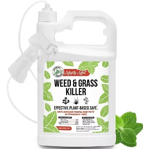 Clean Green Gallon (128 oz) Weed & Grass Killer Lawn Grass Ready-to-Use Spray