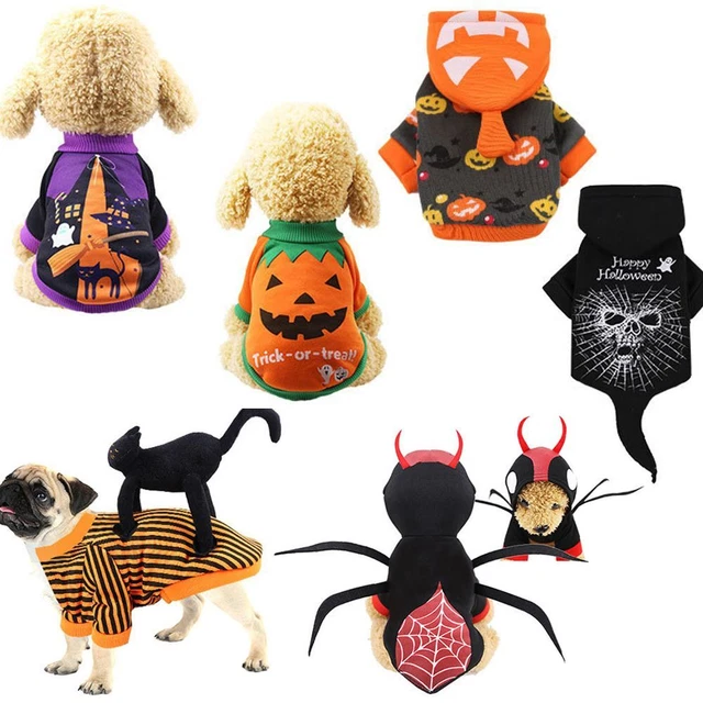 Abito cappotto cucciolo uniforme giacca cane Halloween cane costume abito vestiti per cane