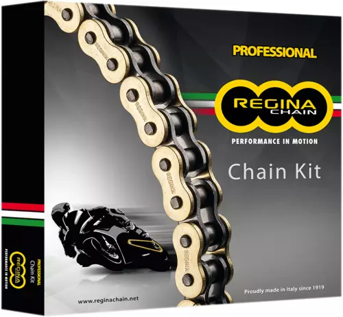 Kit Trasmissione Regina Kb010 Corona 45 Pignone 17 Catena Sportbike Bmw S1000 Xr