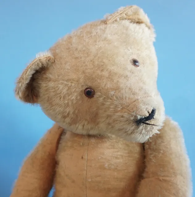 Uralter Steiff Teddybär Teddy Bär vor Krieg Holzwolle gestkopft 78 cm (1123-111) 2