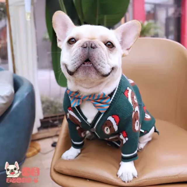 Per piccoli e grandi vestiti cani cappotto giacca maglione camicia tuta vestito