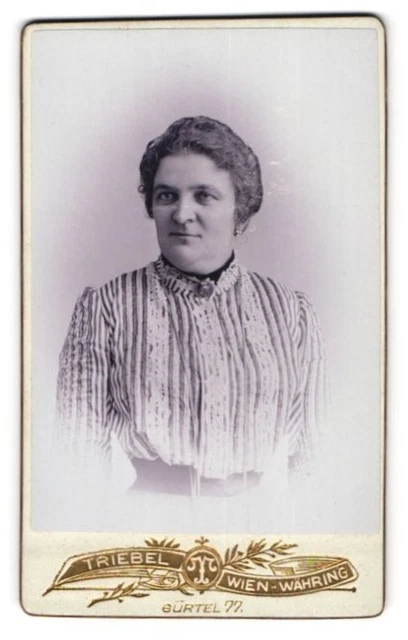 Fotografie Atelier Triebel, Wien, Währingergürtel 77, Dame in gestreifter Pliss