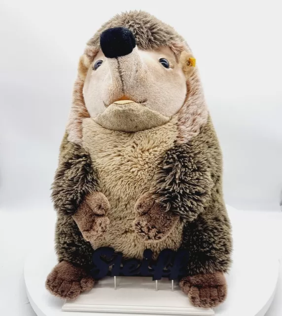 Steiff Igel Joggi Studio-Größe 50 cm  EAN 1677/50 Webpelz 070778 Knopf Fahne