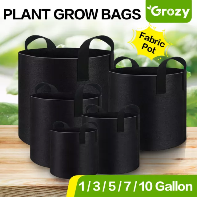5 / 10 Pcs Fabric Pot 1 3 5 7 10 Gallon Hydroponics Garden Plant Grow Bags Pots