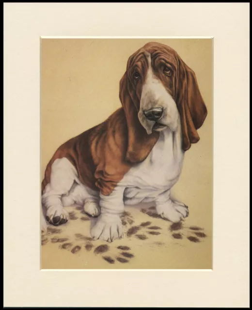 Basset Hound Charming Dog Print Mounted Ready To Frame
