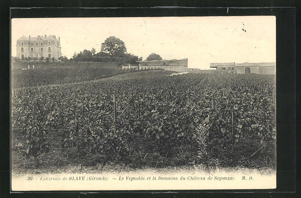 CPA Blaye, Le Vignoble et le Domaine du Chateau de Segonzac