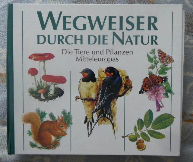 Wegweiser durch die Natur: Die Tiere und Pflanzen Mitteleuropas| Buch | Pilze