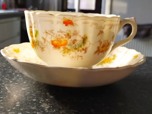Royal Albert Crown China Tea Cup & Saucer Vintage