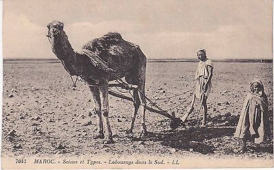 CPA 236-morocco-plowing in the south