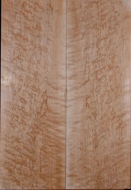 Tonewood Ahorn Vogelaugen Birdseye 2-teilig Topset 9 mm Gitarre Tonholz