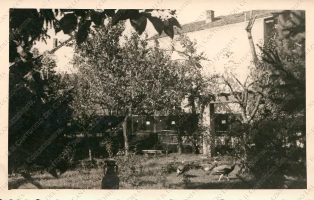 CARAVAGGIO Casa Zibetti Villa Rocchi giardino pavoni Bergamo Foto Cartolina