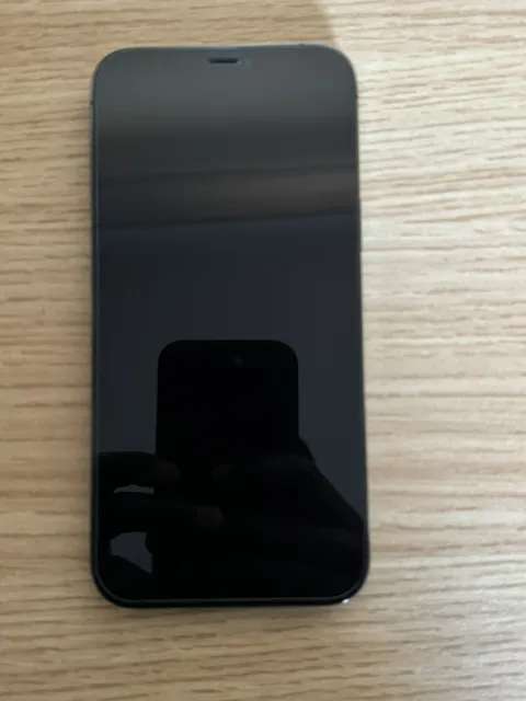 iPhone 12 Pro Max 256gb Graphite Unlocked