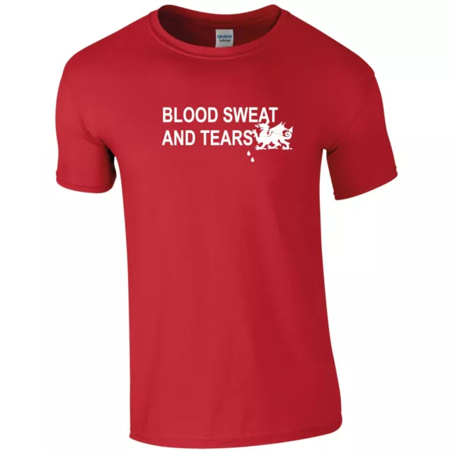 T-shirt Wales Blood Sweat and Tears Rugby Nations 6 bambini 2
