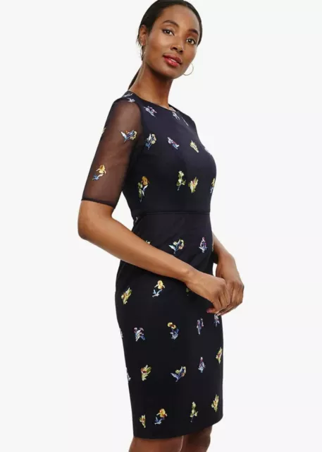 Phase eight shift best sale dresses