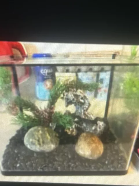Fish Tank