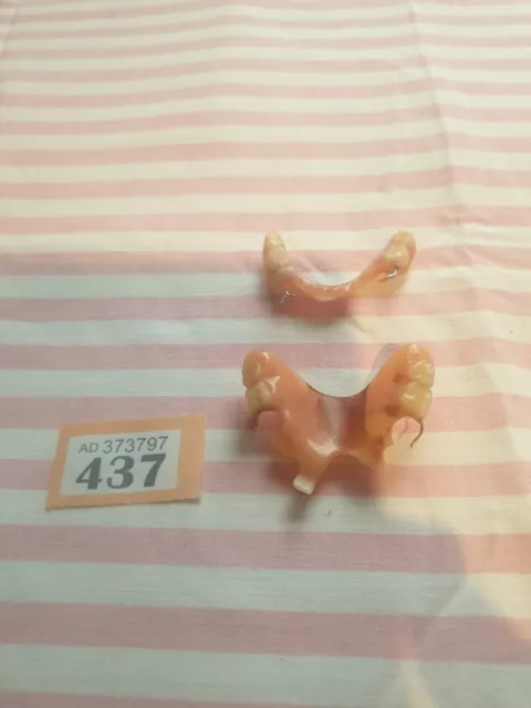 Pair of used vintage dentures false teeth Ideal for filmTV prop or display #437