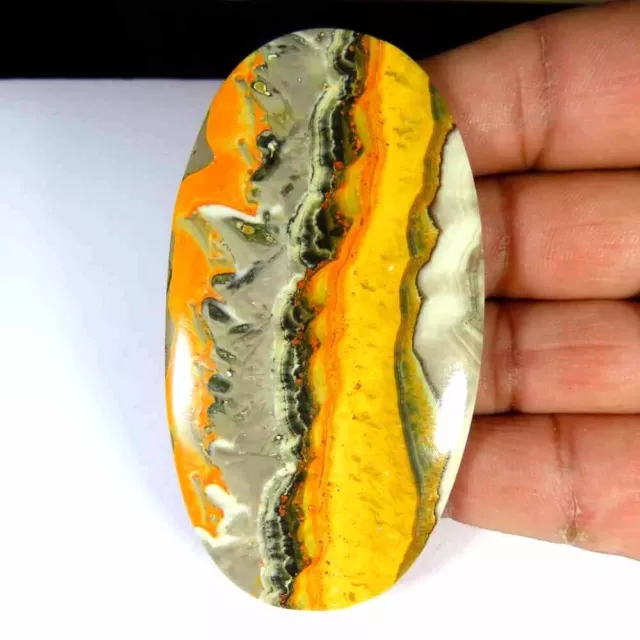 Large~166.70Cts.Natural Bumble Bee Eclipse Jasper Oval Cab 42x77x5mm Gemstone