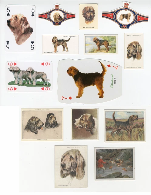 Otterhound Collection Vintage Dog Collectable Cigarette + Playing Cards & Bands