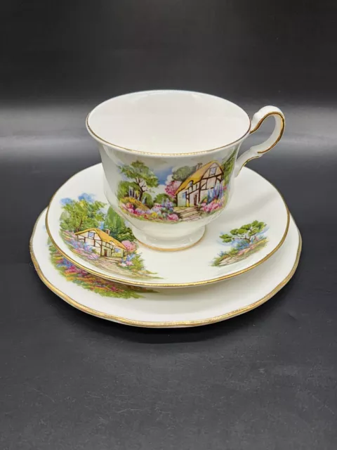 Queen Anne Trio Cup Saucer Plate Cottage Garden Bone China 8677