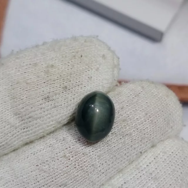 7.80 Ct Natural Lehsunia Cats Eye Black Color Loose Gemstone From Afghanistan