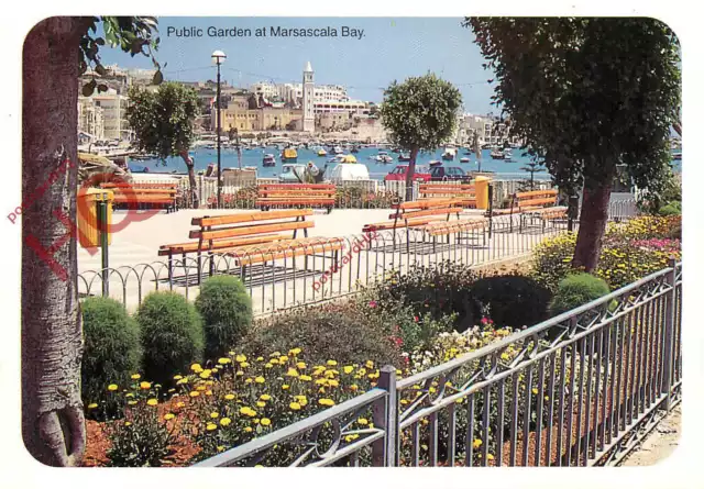 Picture Postcard>>Malta, Marsascala Bay, Public Garden