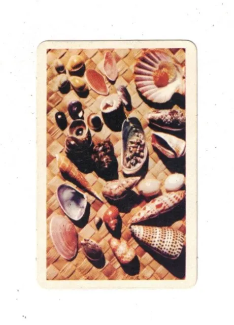 Swap Card - Original Golden Fleece 1960's - Green No. 1B - Barrier Reef Shells