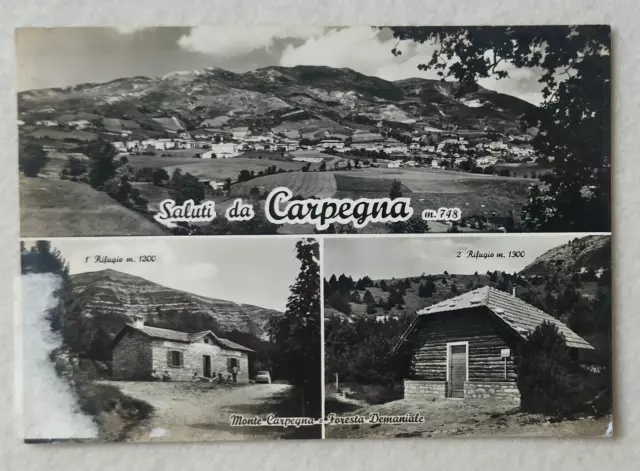 Cartolina Carpegna Pesaro Urbino Saluti Fg Vg 1963