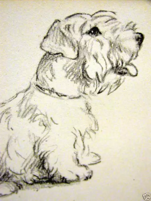 Lucy Dawson SEALYHAM TERRIER 1946 Dog Art Print Matted